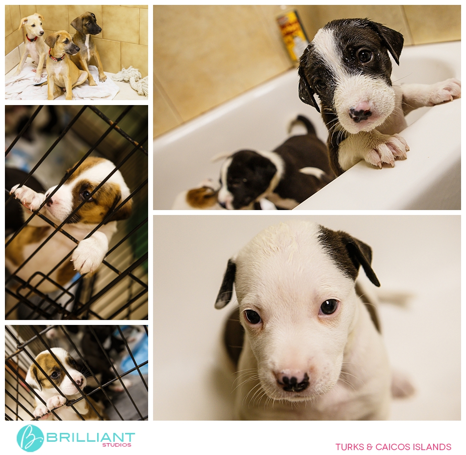 The Duke Of Edinburgh Program 4 Photographycoursesturksandcaicos_0002