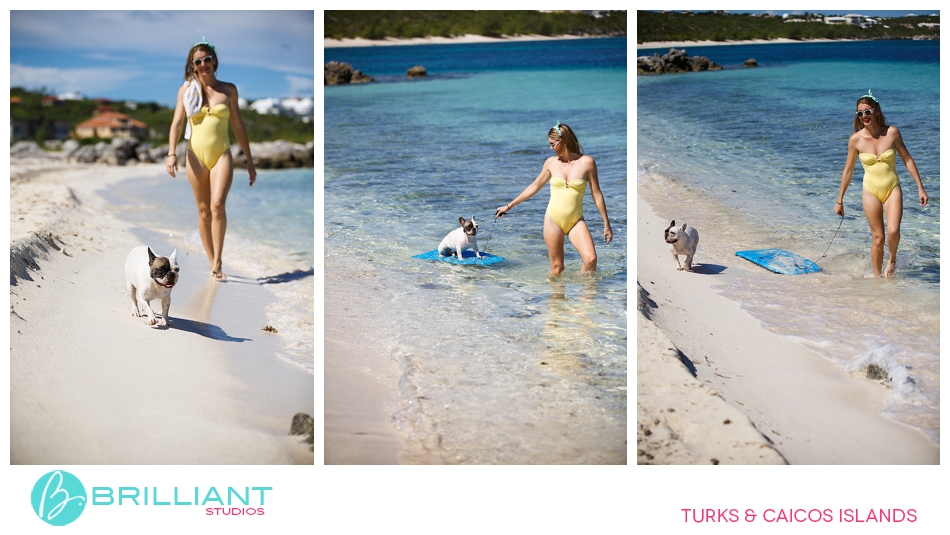 Chulo, The Famous Turks &Amp; Caicos French Bulldog 5 Turksandcaicos_3155