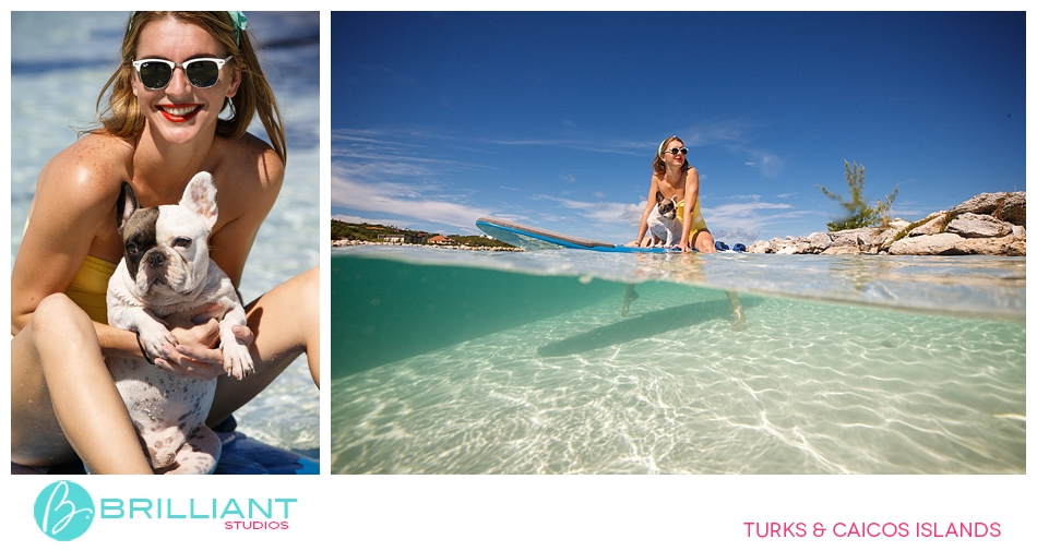 Chulo, The Famous Turks &Amp; Caicos French Bulldog 7 Turksandcaicos_3157