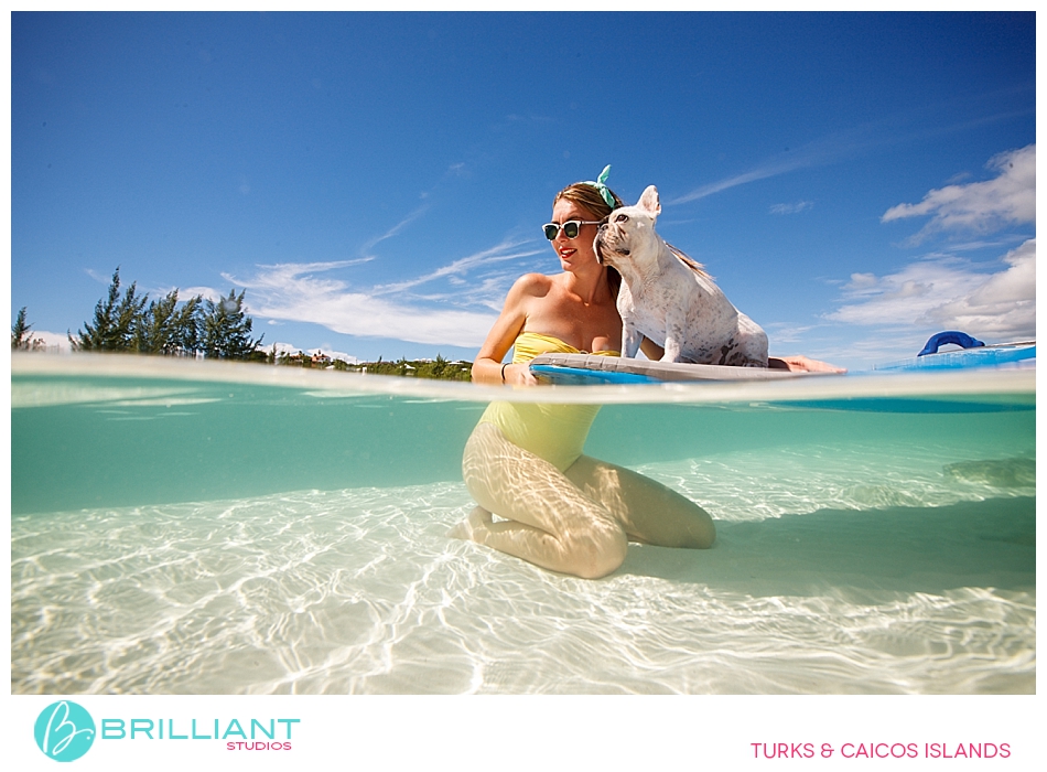 Chulo, The Famous Turks &Amp; Caicos French Bulldog 10 Turksandcaicos_3160