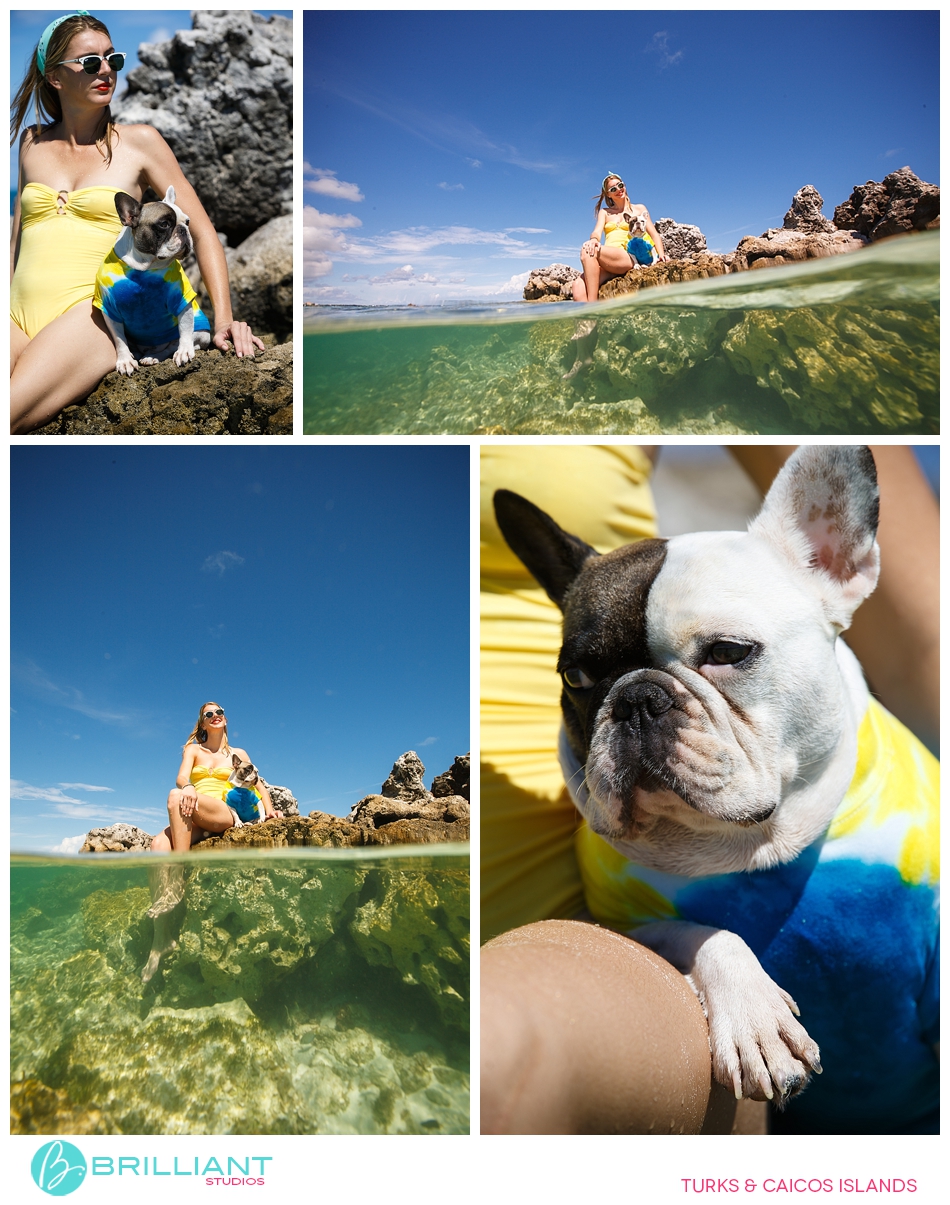 Chulo, The Famous Turks &Amp; Caicos French Bulldog 13 Turksandcaicos_3164