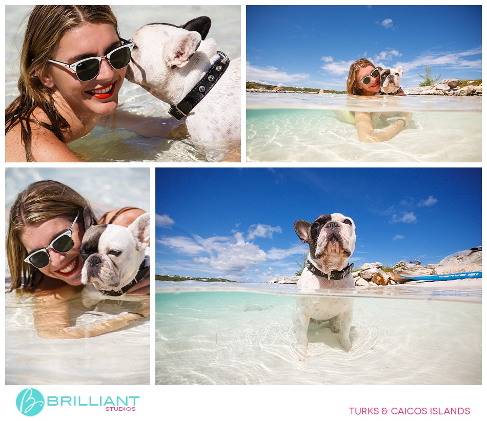 Chulo, The Famous Turks &Amp; Caicos French Bulldog 17 Turksandcaicos_3168