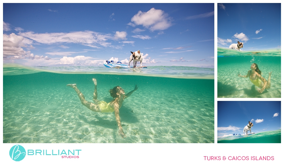 Chulo, The Famous Turks &Amp; Caicos French Bulldog 21 Turksandcaicos_3172