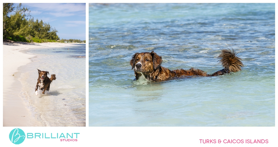 Ashley &Amp; Michael Turks &Amp; Caicos Enagement 8 Turksandcaicos_3236