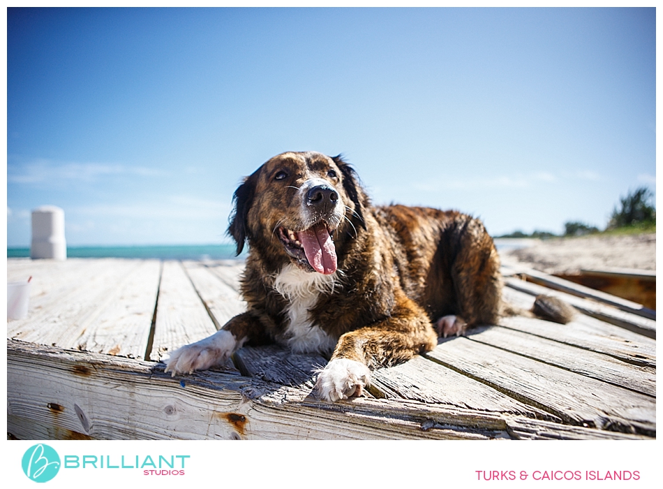 Ashley &Amp; Michael Turks &Amp; Caicos Enagement 12 Turksandcaicosengagement_3240