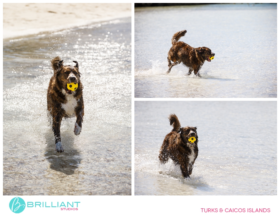 Ashley &Amp; Michael Turks &Amp; Caicos Enagement 24 Turksandcaicos_3252