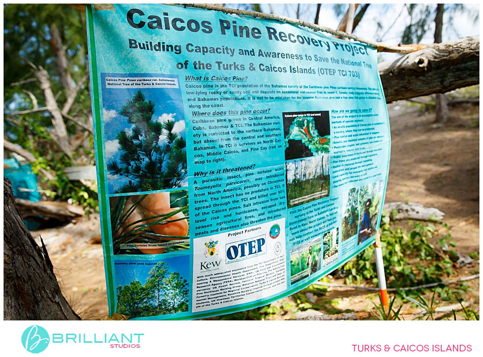 Middle Caicos Valentines Cup 2014 64 Middle-caicos-valentines-cup-2014-0069