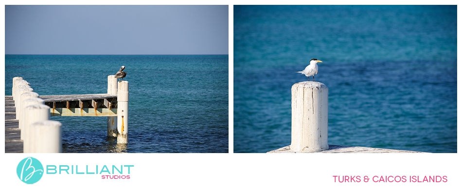 World Travellers In The Caribbean 3 Romanticshootturksandcaicos_0002