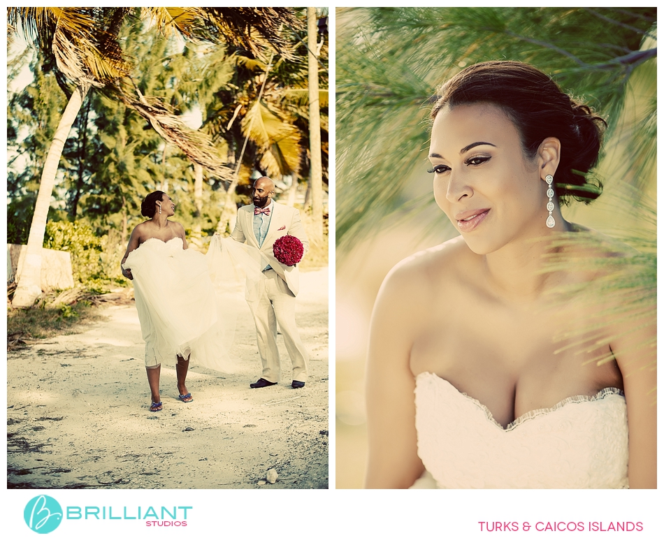 A Gansevoort Wedding For Three Underwater 8 Weddinggansevoortturksandcaicos_0008