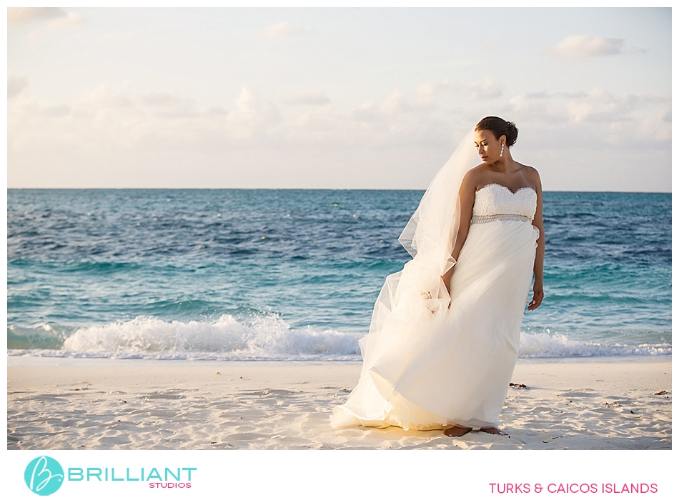 A Gansevoort Wedding For Three Underwater 13 Weddinggansevoortturksandcaicos_0013