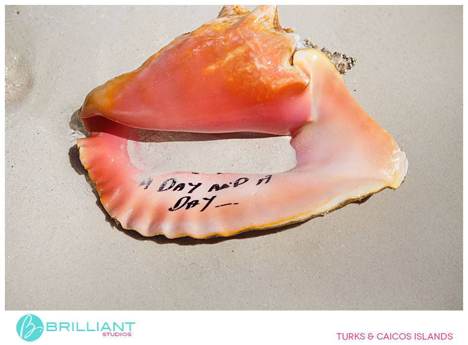 A Pure Turks And Caicos Proposal. 5 Turks and caicos__0050