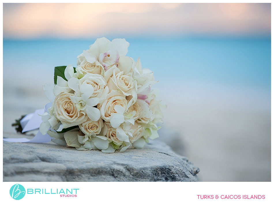 Lana And Doug'S Island Elopement. 10 Island elopement