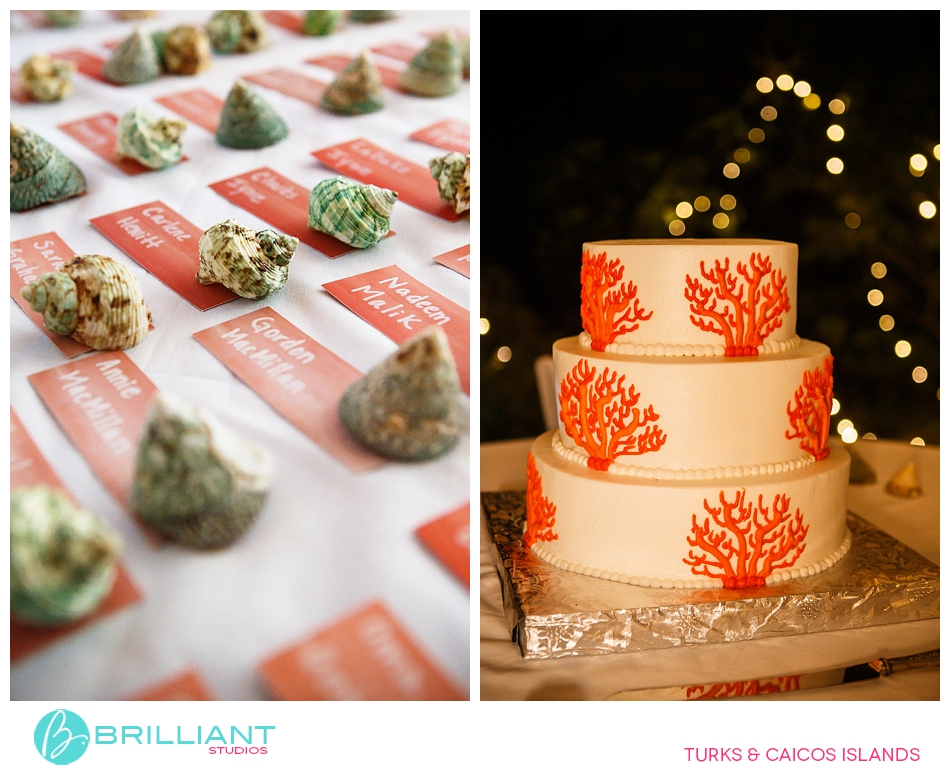 Experience A Magical Caribbean Wedding Destination: Choya And Meredith'S Unforgettable Celebration 22 Caribbean wedding