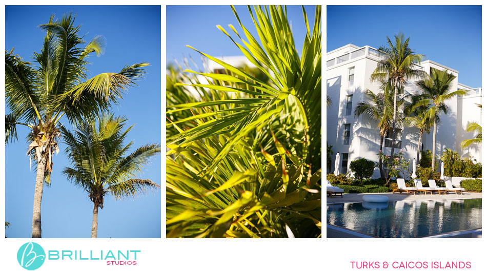 Three Photos Shoots- One Family - Part Two. 2 Turks and caicos__1470