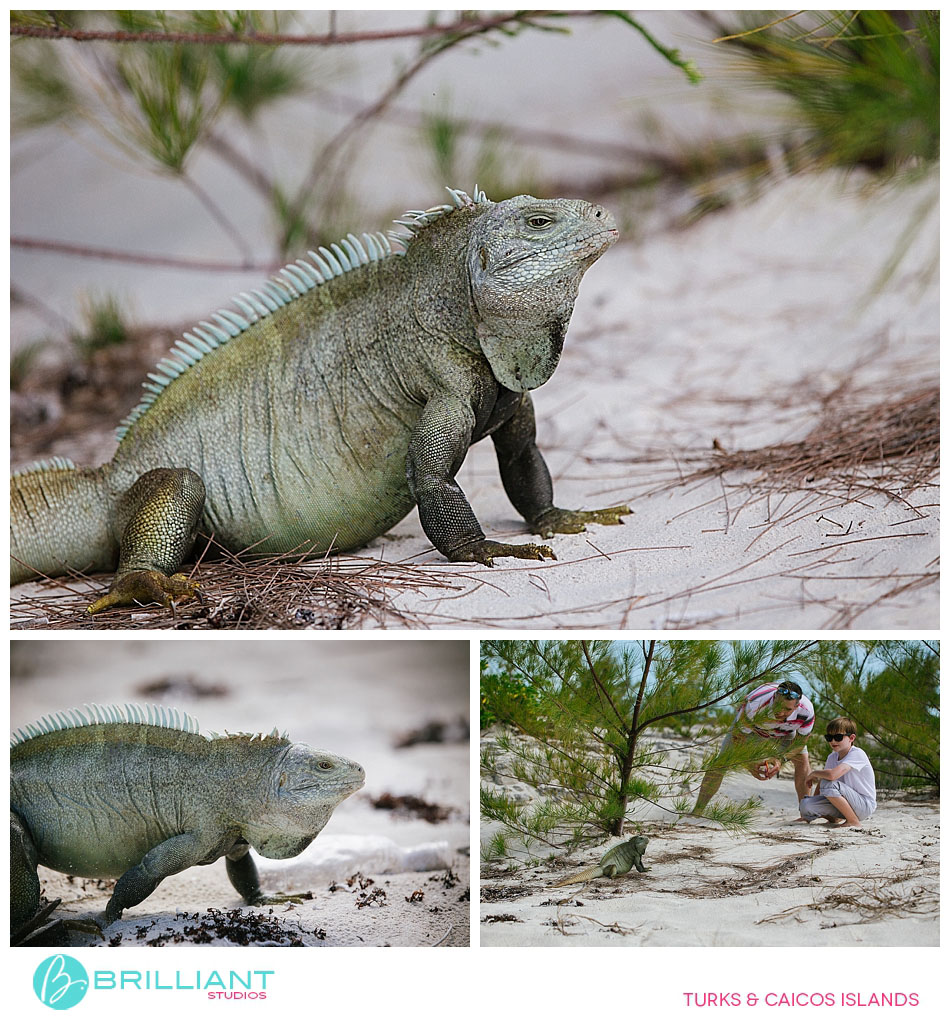 Fabulous Family Boat Trip In Turks And Caicos 15 Turks and caicos__1826