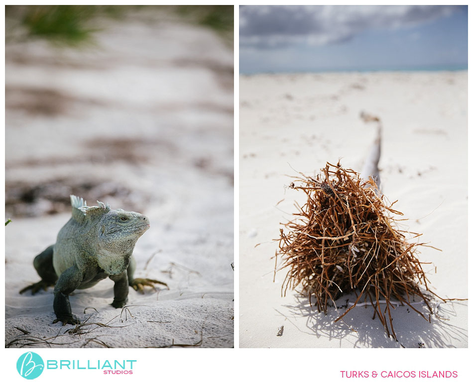 Fabulous Family Boat Trip In Turks And Caicos 16 Turks and caicos__1827