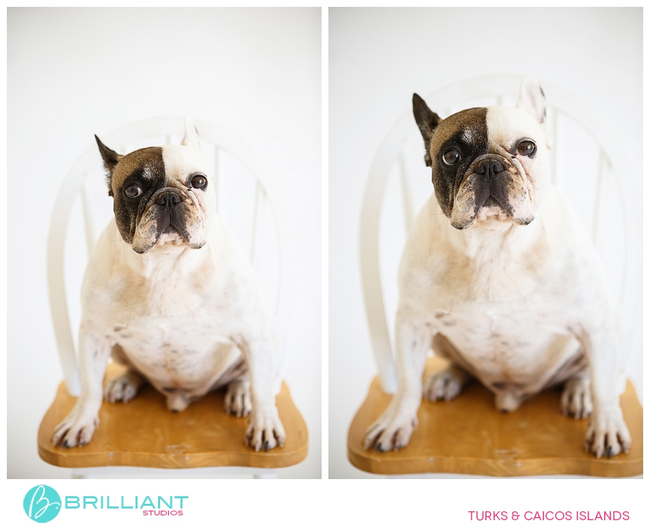 In Studio Photo Shoot 5 Brilliant studios_0004