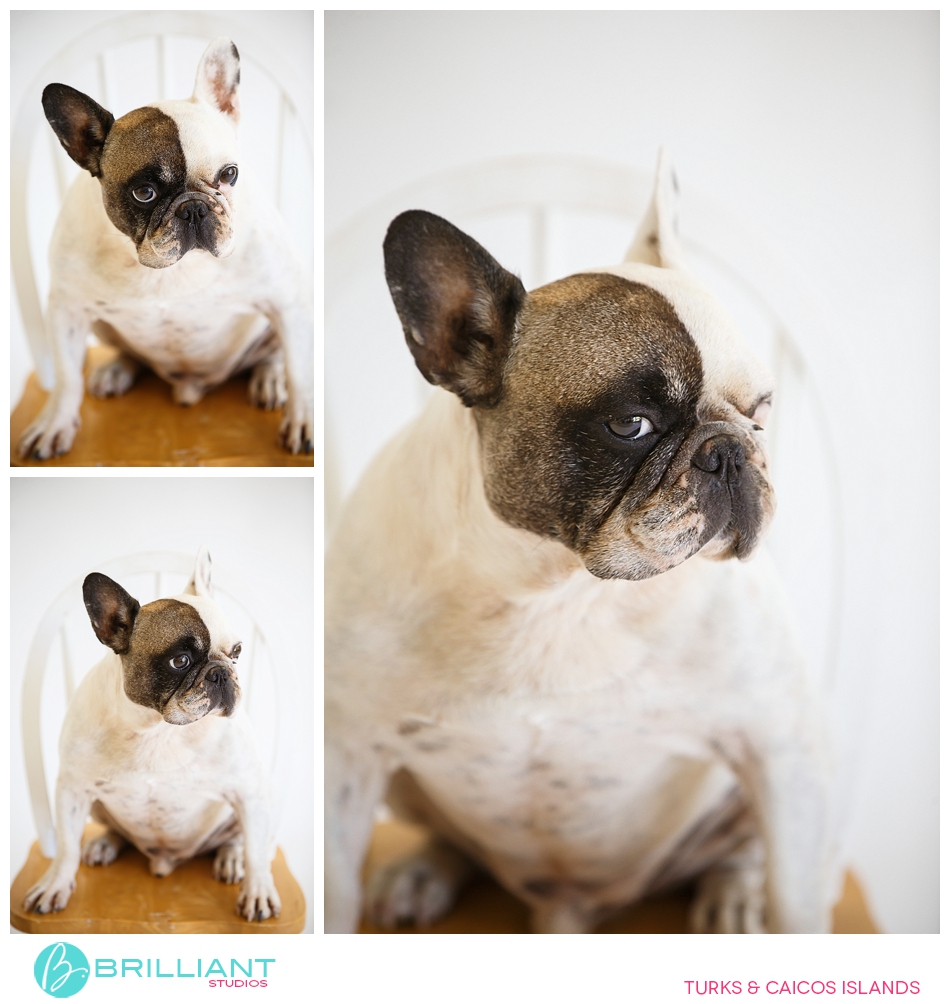 In Studio Photo Shoot 7 Brilliant studios_0005