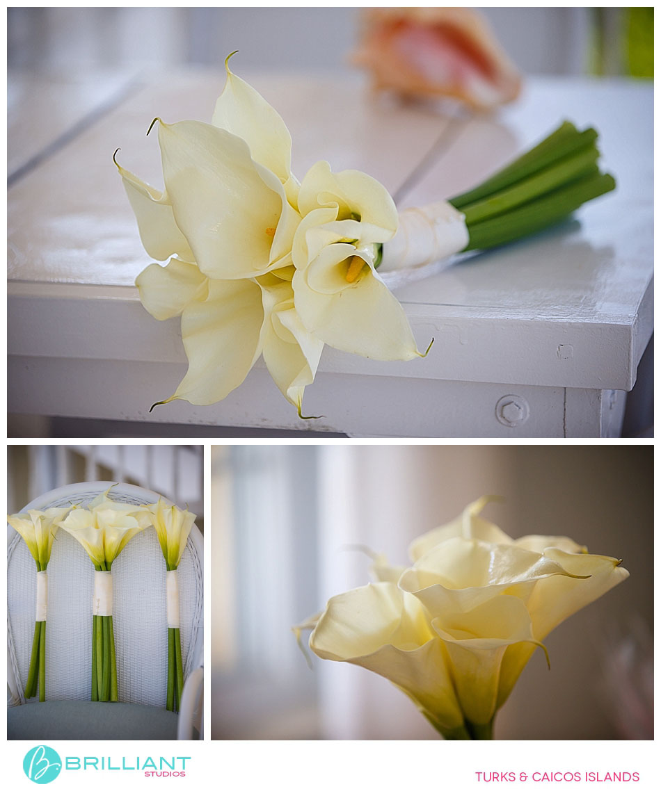 Chanel And Justin'S Beach House Wedding 4 Turks and caicos__4346