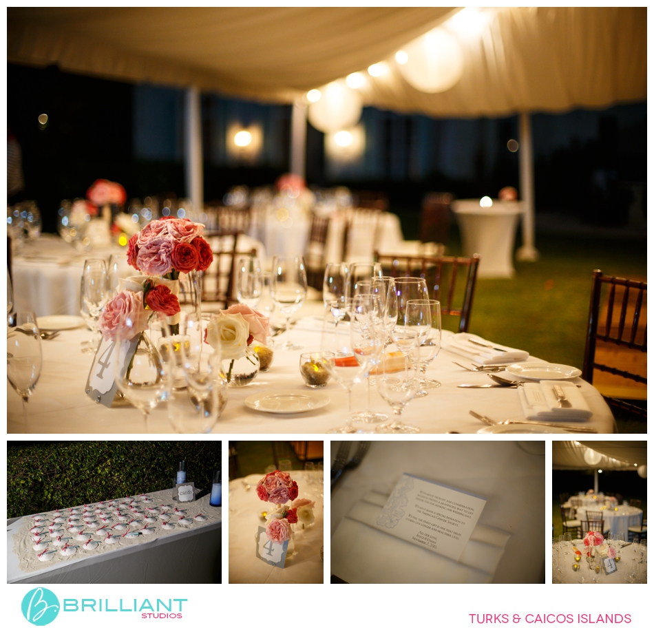 The Wedding Of Joyce &Amp; Ethan 36 Turksandcaicos_5135