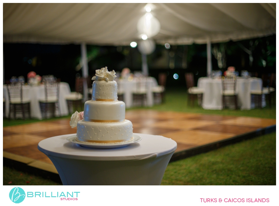 The Wedding Of Joyce &Amp; Ethan 37 Turksandcaicos_5136