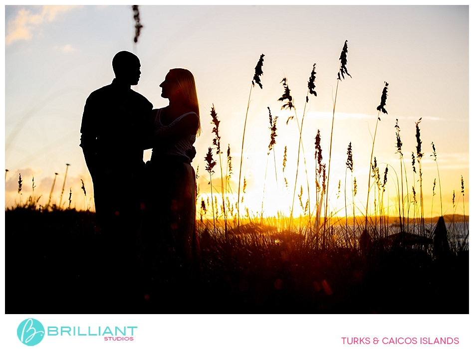 Regentpalmsengagement 0007