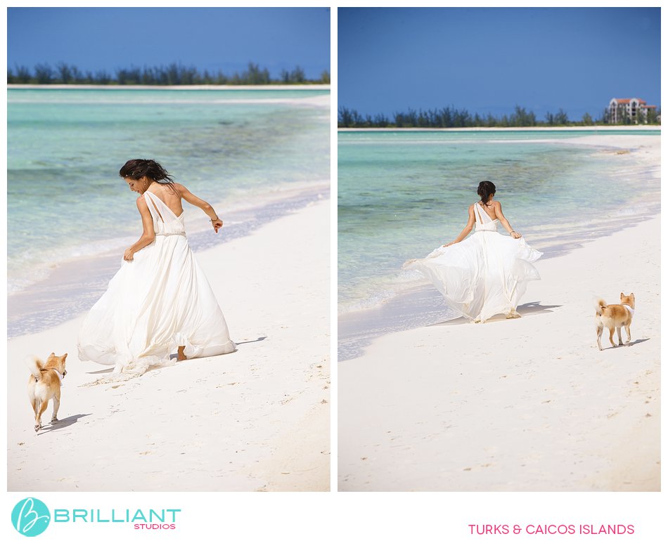 bride walks dog at parrot cay private wedding