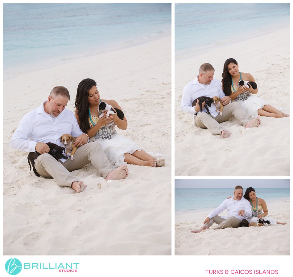 bride and groom with puppies on Grace Bay Beach